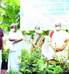 Sree Poornathrayeesa Green Care
